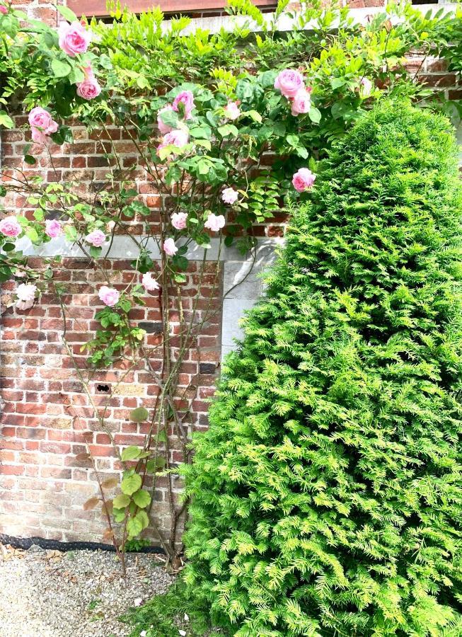 Studio - Tour D'Heloise - 10' De Bruxelles La Hulpe Ngoại thất bức ảnh